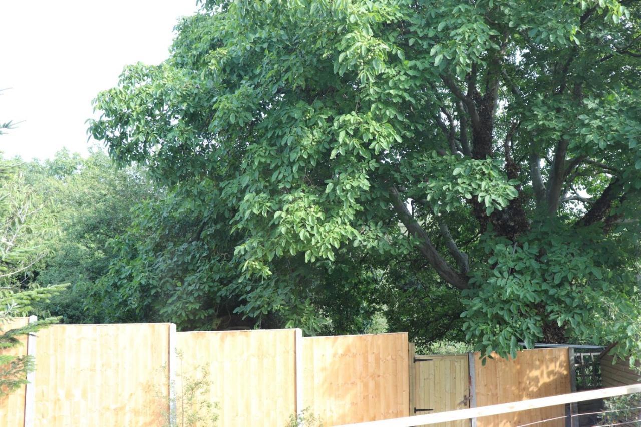 فيلا Walnut Tree View أكسفورد المظهر الخارجي الصورة